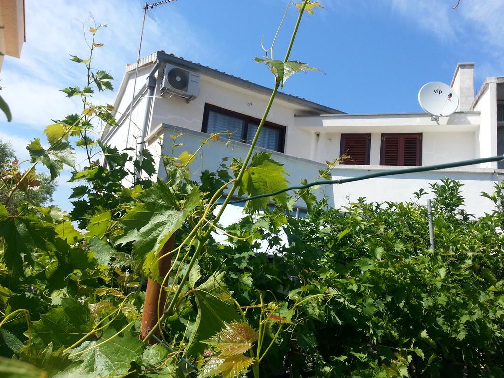 Apartments Maslina Božava Pokoj fotografie